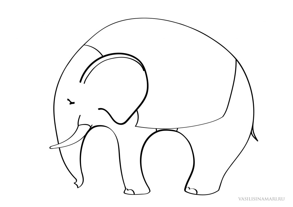 слон раскраска vasilisinamari