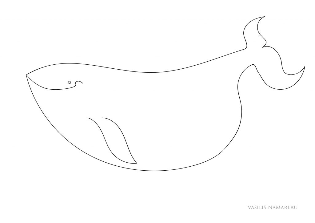 кит раскраска vasilisinamari