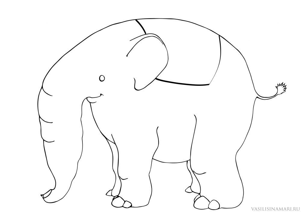 слон раскраска vasilisinamari